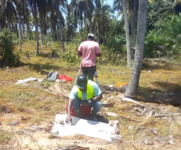 Deux géomètres au travail dans une cocoteraie.