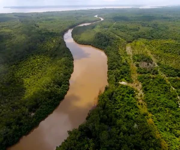 Vue de drone d'une rivière qui serpente dans la forêt, une piste sur la rive.