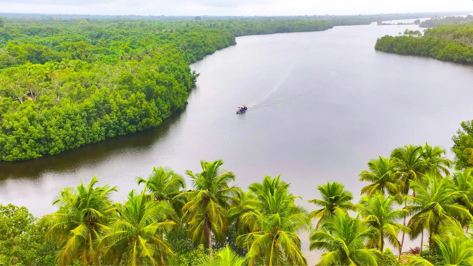 Vue de drone d'un chenal de lagune bordé d'une palmeraie, une pirogue sur l'eau.