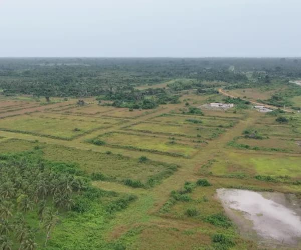 Vue de drone des voies en terre d'un ensemble de parcelles tracé dans la savane.
