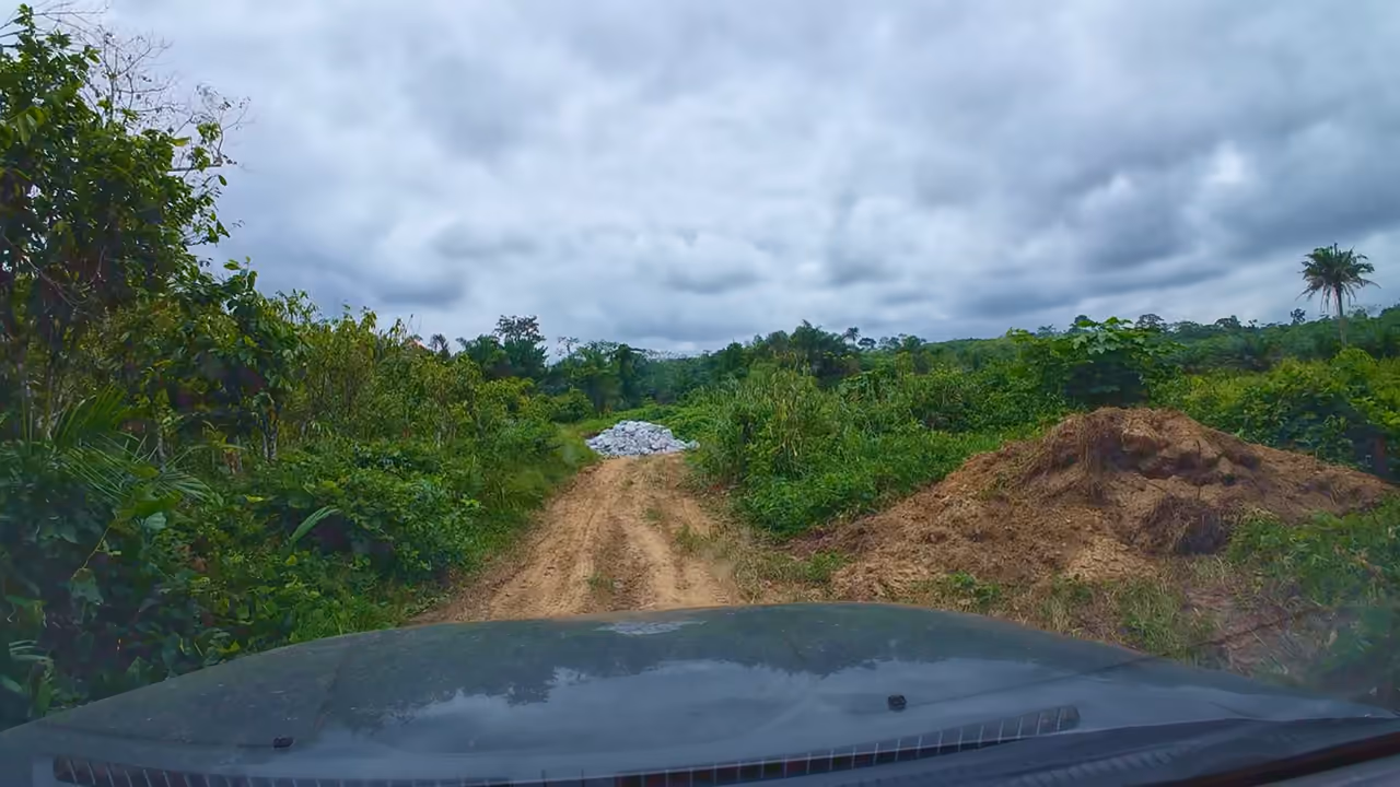 La piste dans la plantation : le camion benne arrive.