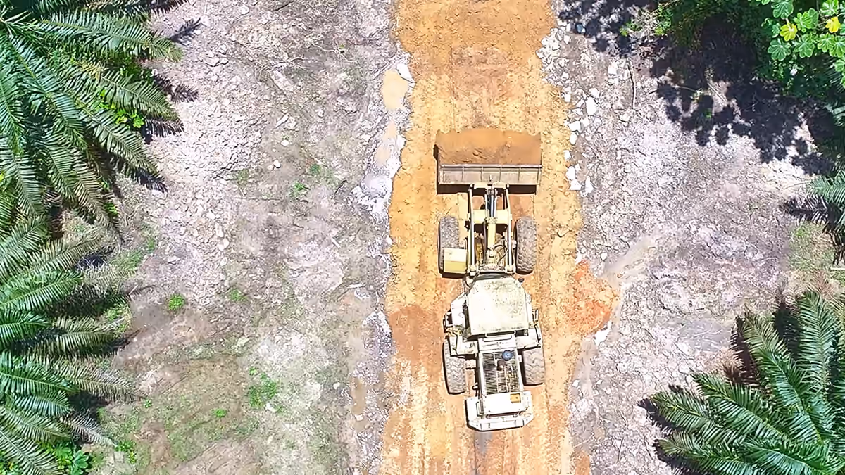 Vue verticale du drone : une chargeuse au godet plein avance sur la piste de latérite ouverte entre les palmiers.