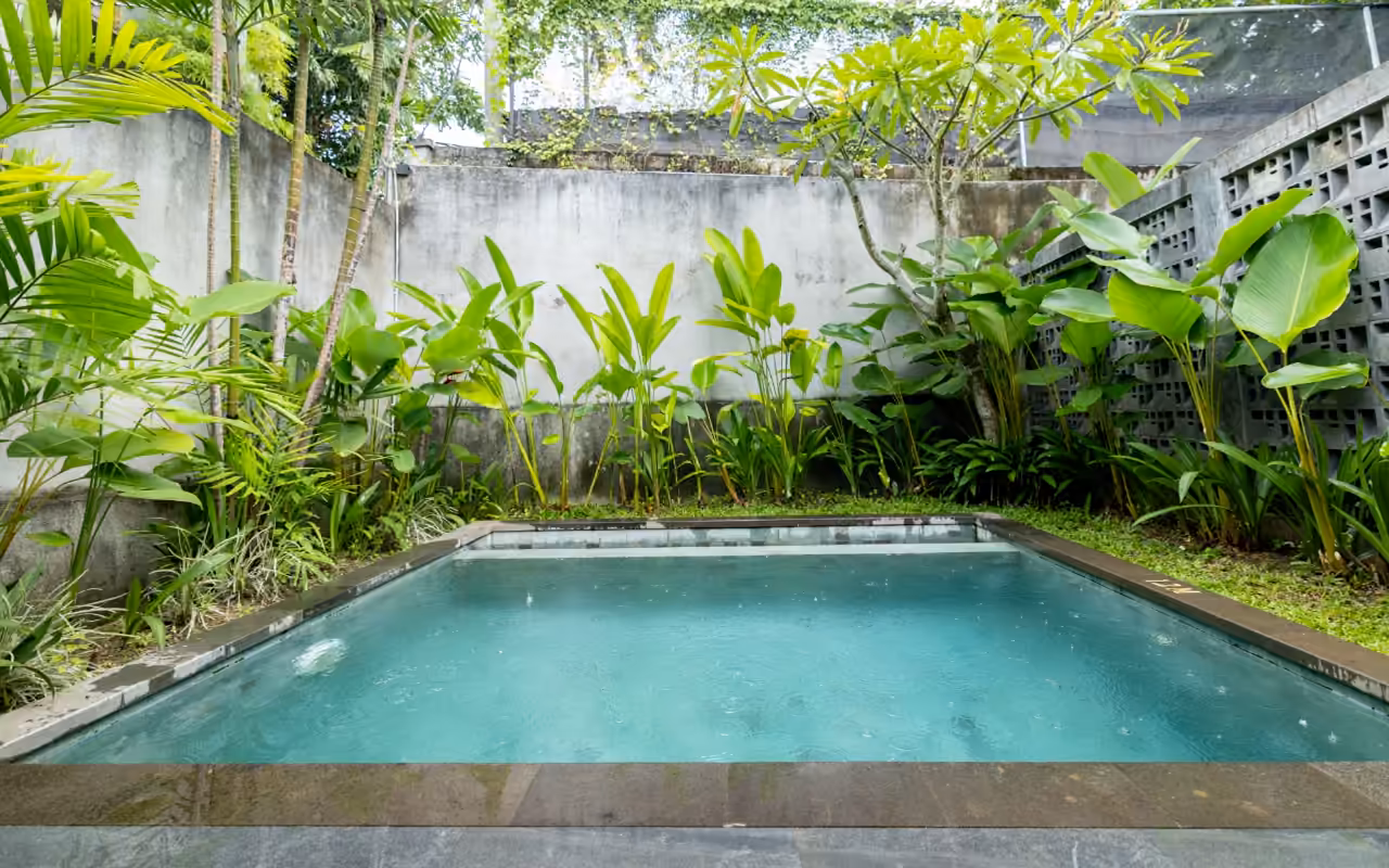 Piscine rectangulaire en béton dans un jardin tropical clos, sous une pluie fine.