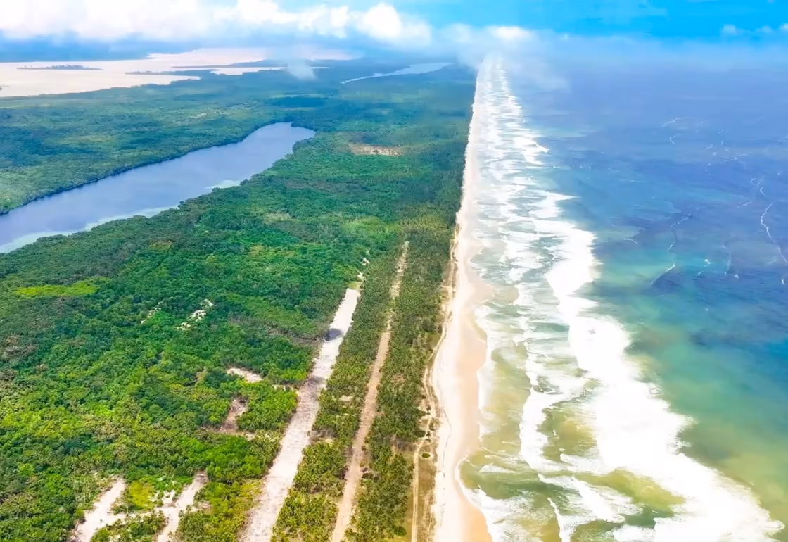 Vue aérienne d'un cordon littoral : la plage, l'océan, la forêt et une lagune.
