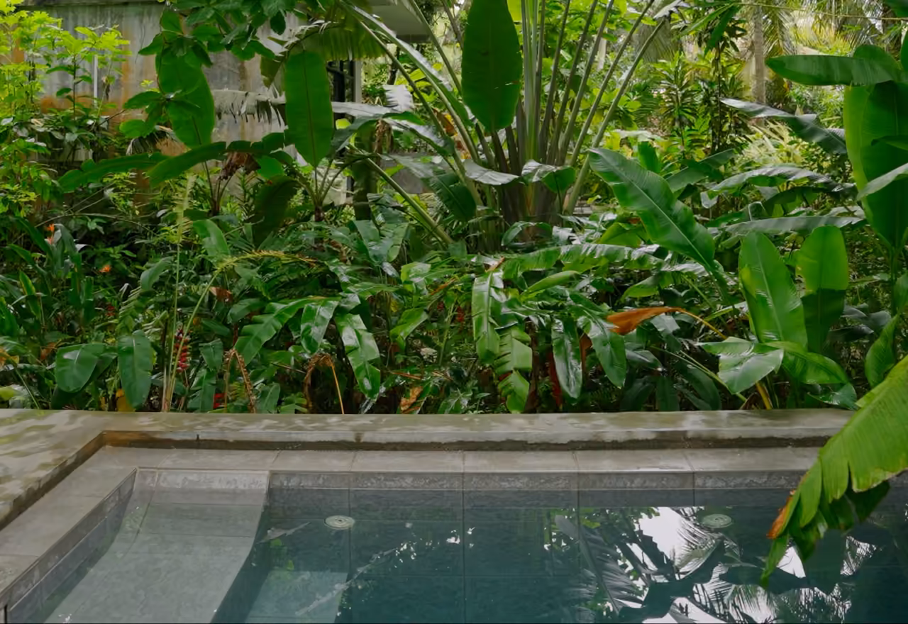 Petite piscine en béton à banquette immergée, au pied d'une maison, dans un jardin tropical.