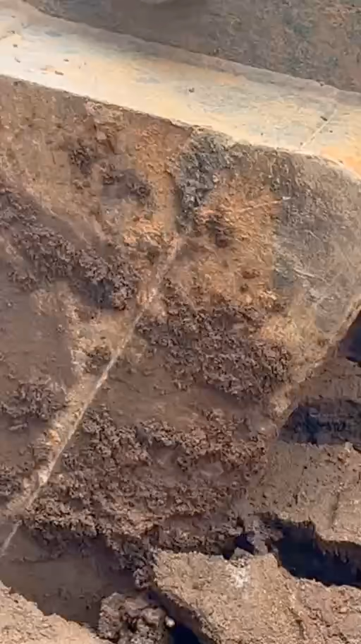 Filmé au téléphone sur notre chantier d'Abidjan : le godet d'un tractopelle racle la terre, puis remblaie au pied du mur.