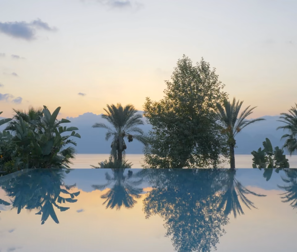 Au ras de l'eau, la surface d'un bassin reflète les palmiers et le ciel du soir comme un miroir.