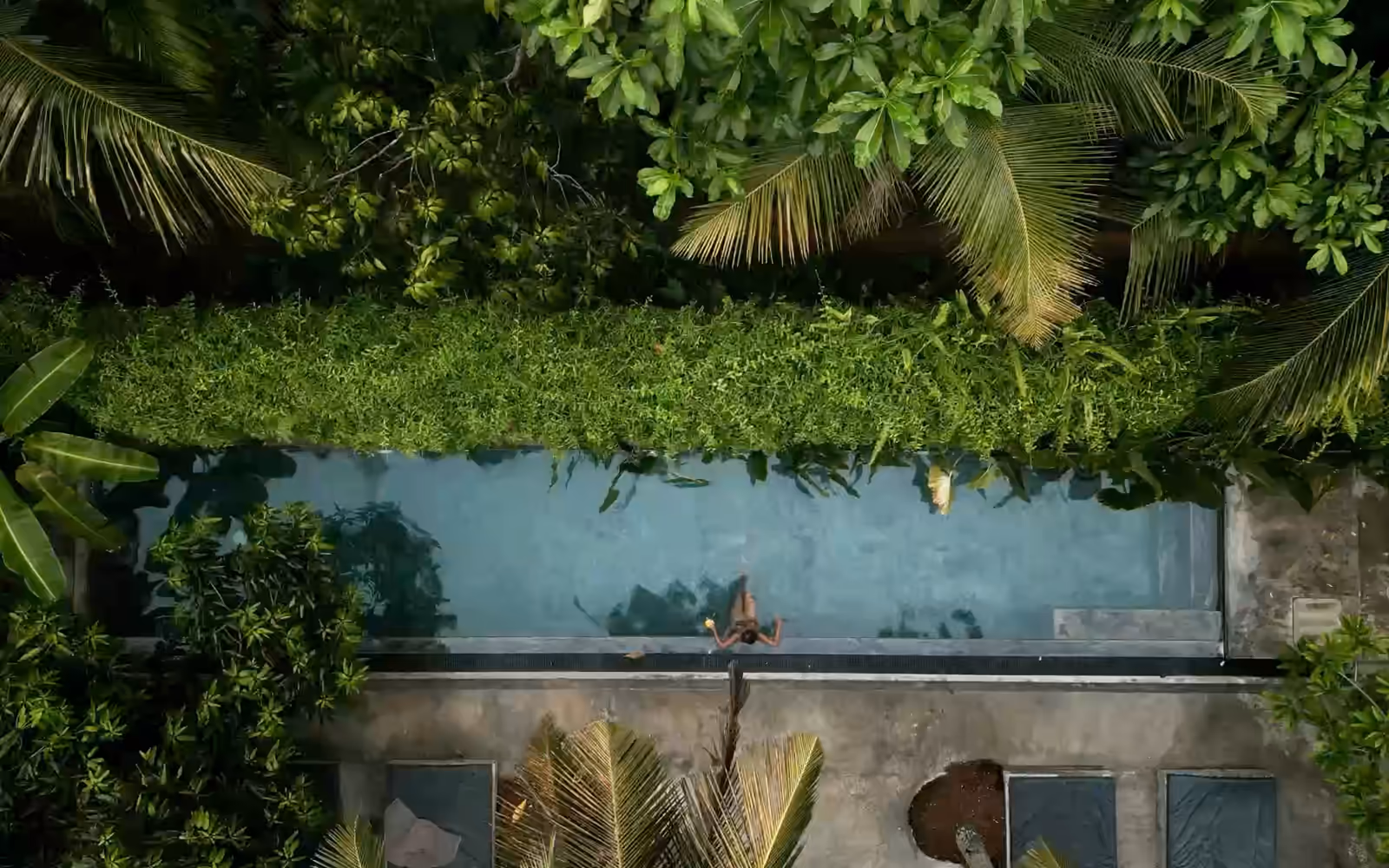 Vue du ciel d'une longue piscine au milieu d'un jardin tropical, palmiers et haie de verdure.