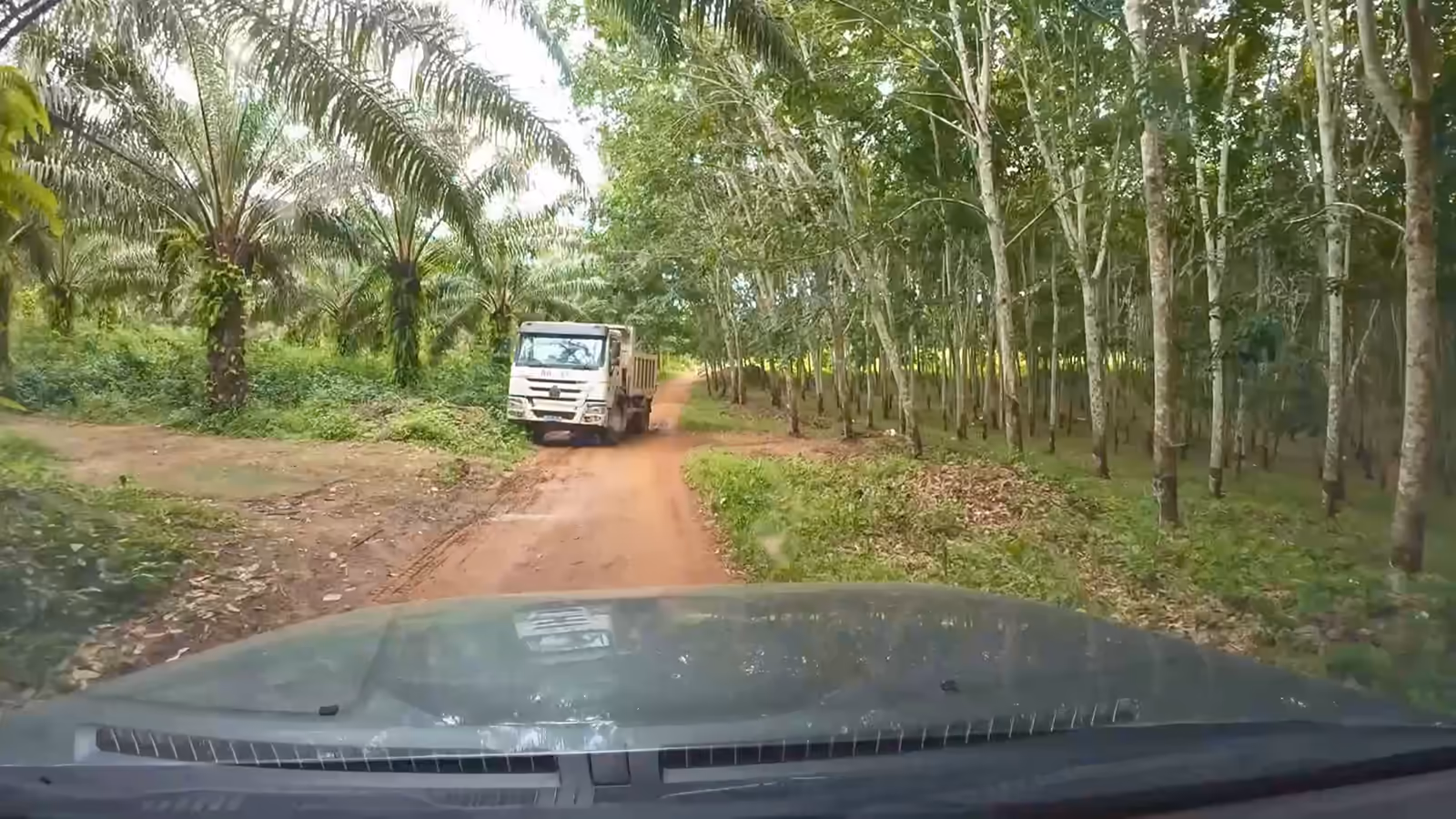 Une pelle et une chargeuse ouvrent une piste dans une plantation de palmiers : vues du véhicule, du sol et du drone jusqu'à la piste terminée.