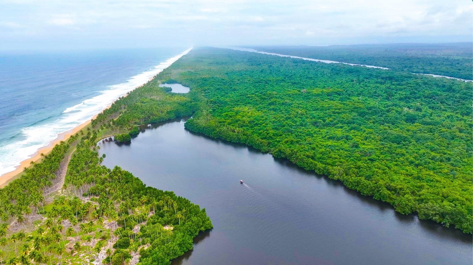 Terrain étudié et borné par Trans Ivoire Groupe en Côte d'Ivoire